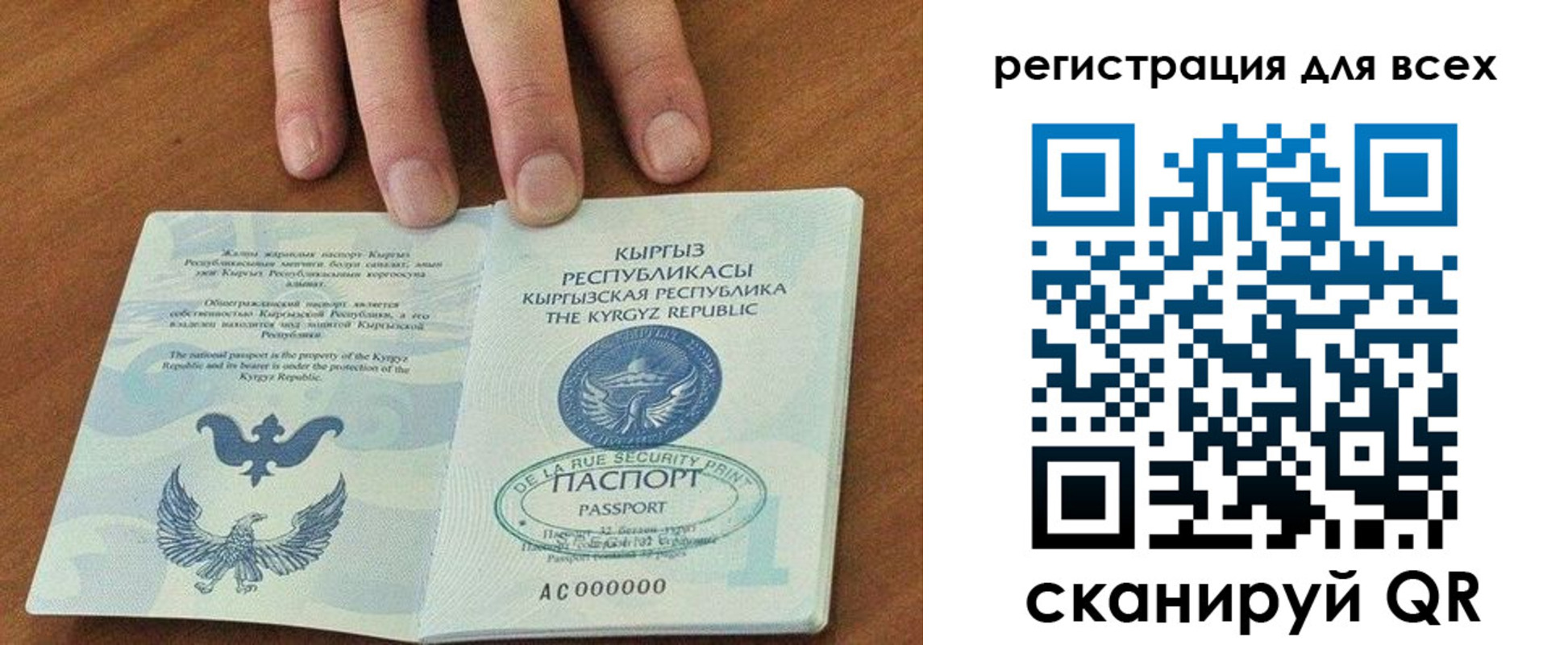 прописка для школы в Данкове